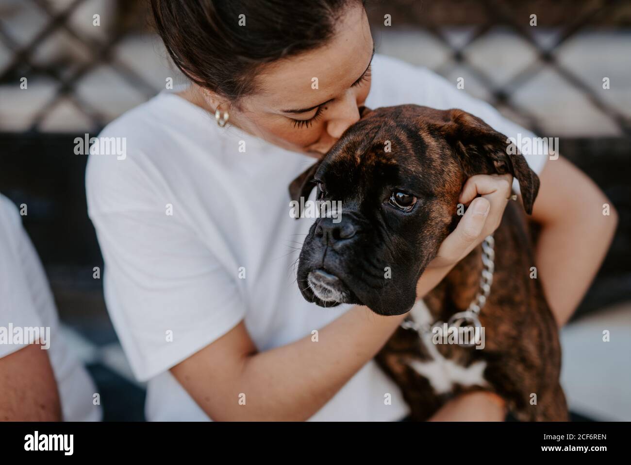 Attractive Woman and boxer dog with kind face enjoying and embracing Stock Photo