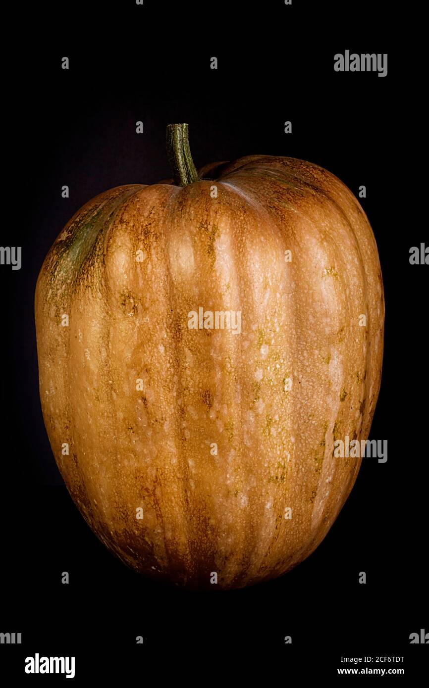 Ripe whole orange pumpkin on black background Stock Photo - Alamy