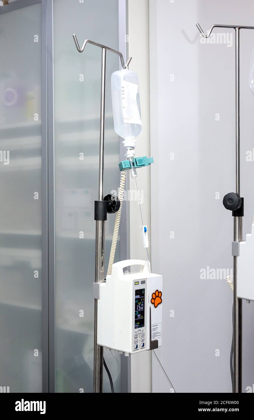 Saline solution drip for animal patient hanging on metal pole in