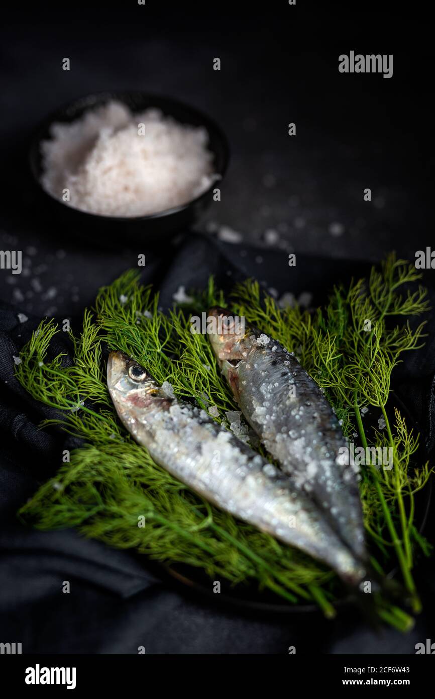 Homemade salted sardines on greens on plate Stock Photo