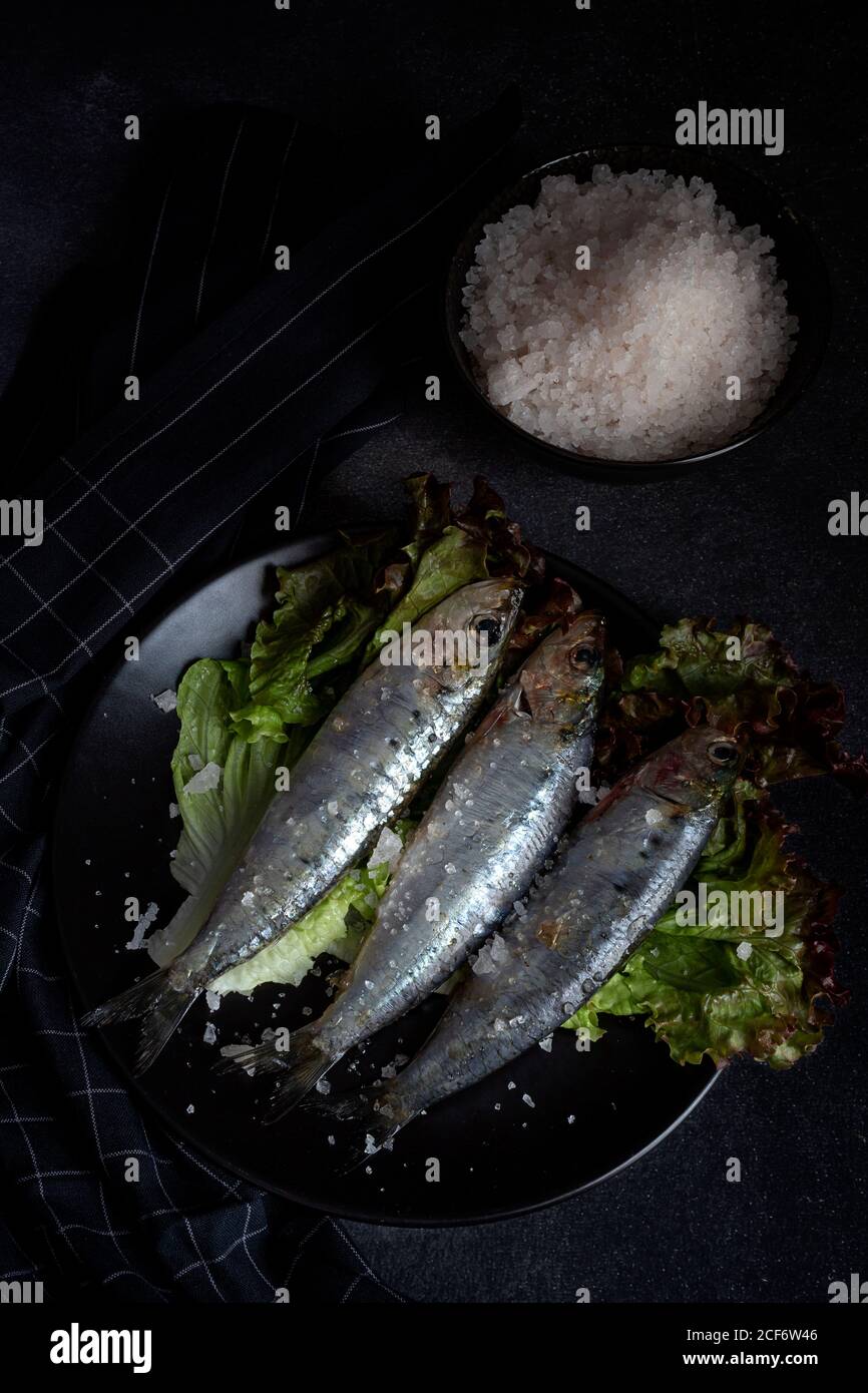 Salted sardines hires stock photography and images Alamy
