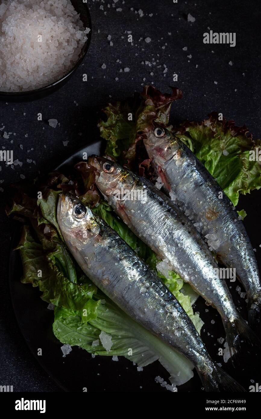 Homemade salted sardines on greens on plate Stock Photo