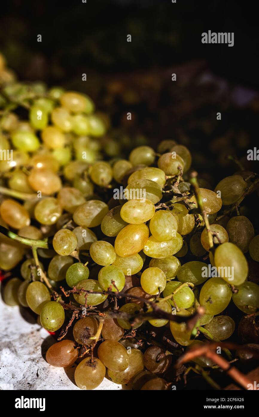 street market of assortment of fresh fruits and vegetables.Healthy food.Organic. farming. grapes Stock Photo