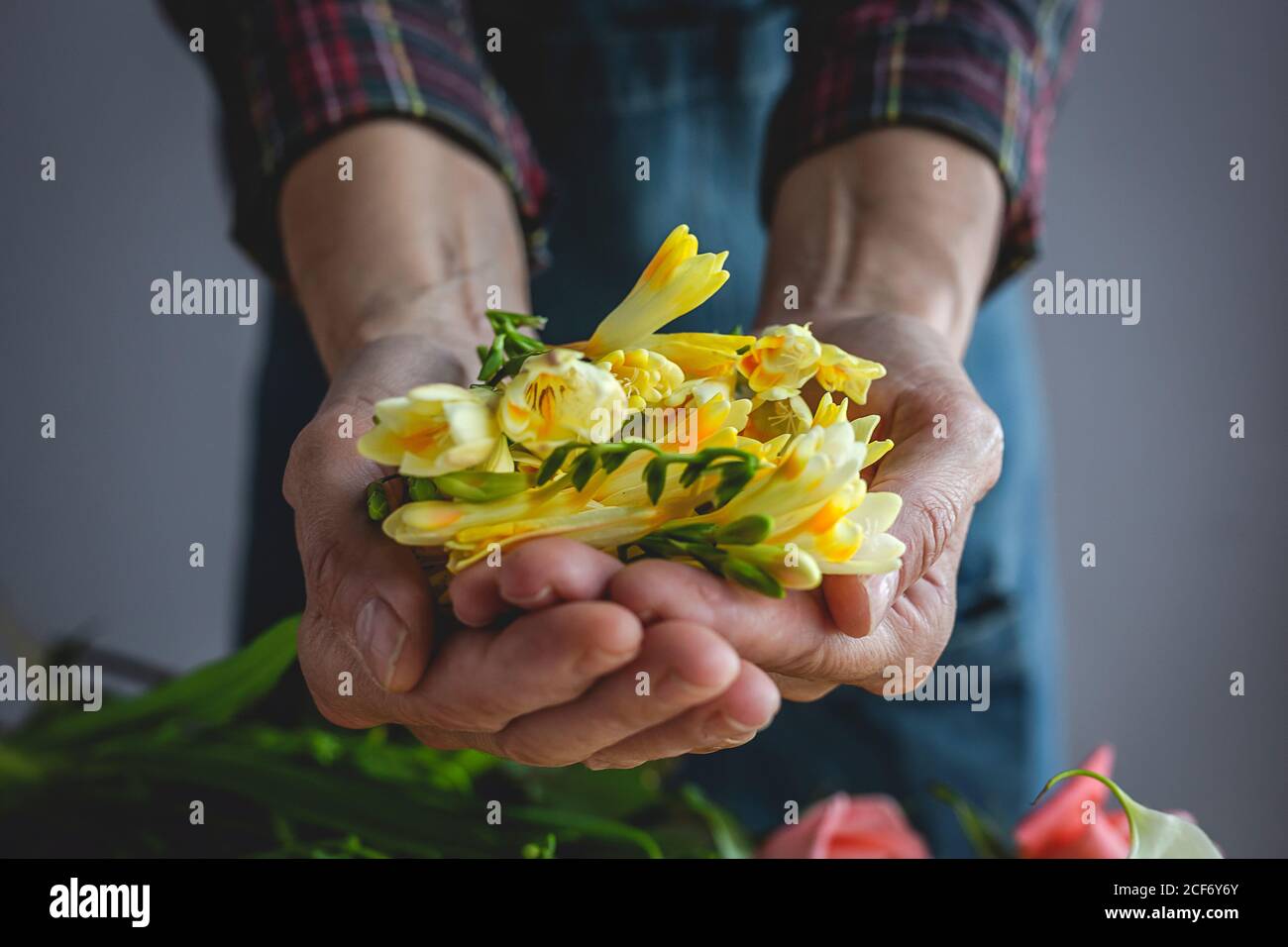 Types of job hires stock photography and images Alamy