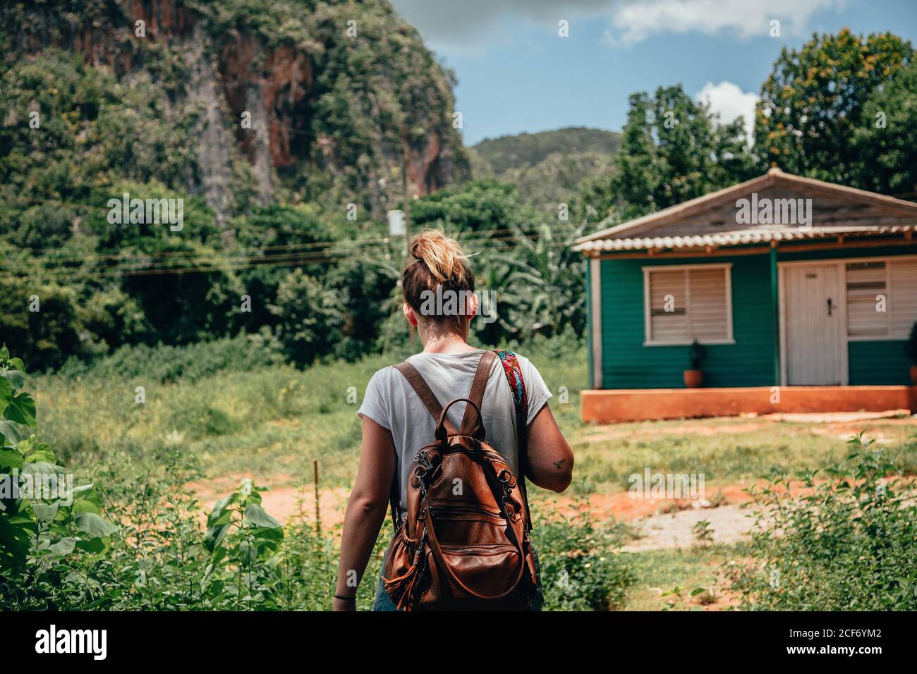 Back view of blond haired faceless female traveler in casual wear with backpack and rural house among green tropical plants on background in Cuba Stock Photo