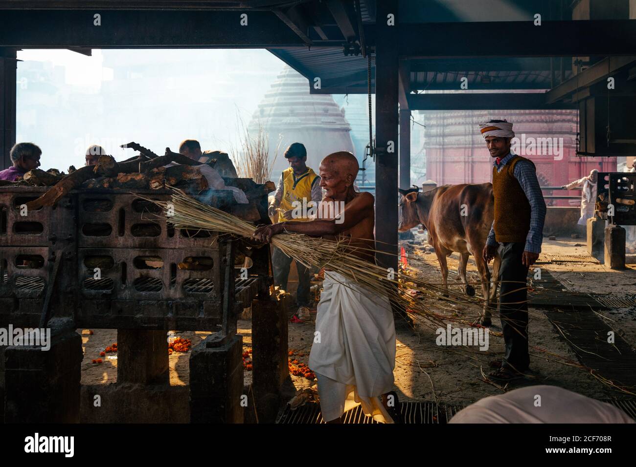 Varanasi, India - February, 2018: Indian man holding bunch of straw in ...