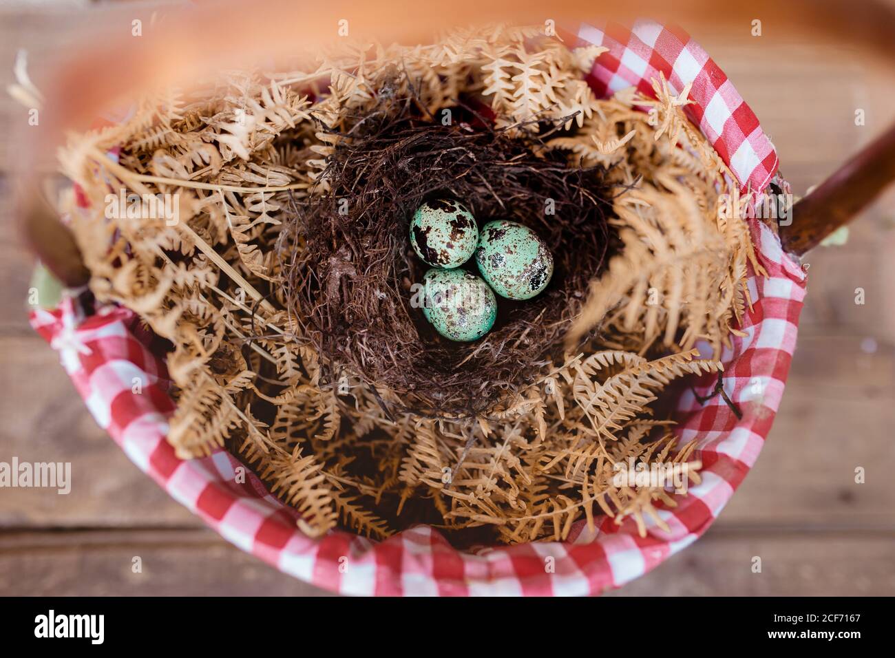 nest with blue eggs in a basket Stock Photo
