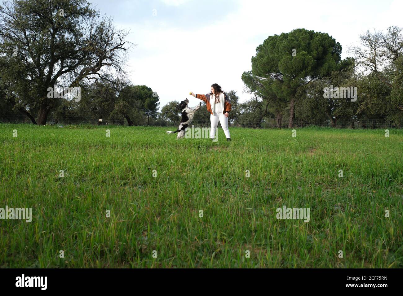 Ball grass full length hi-res stock photography and images - Page 2 - Alamy