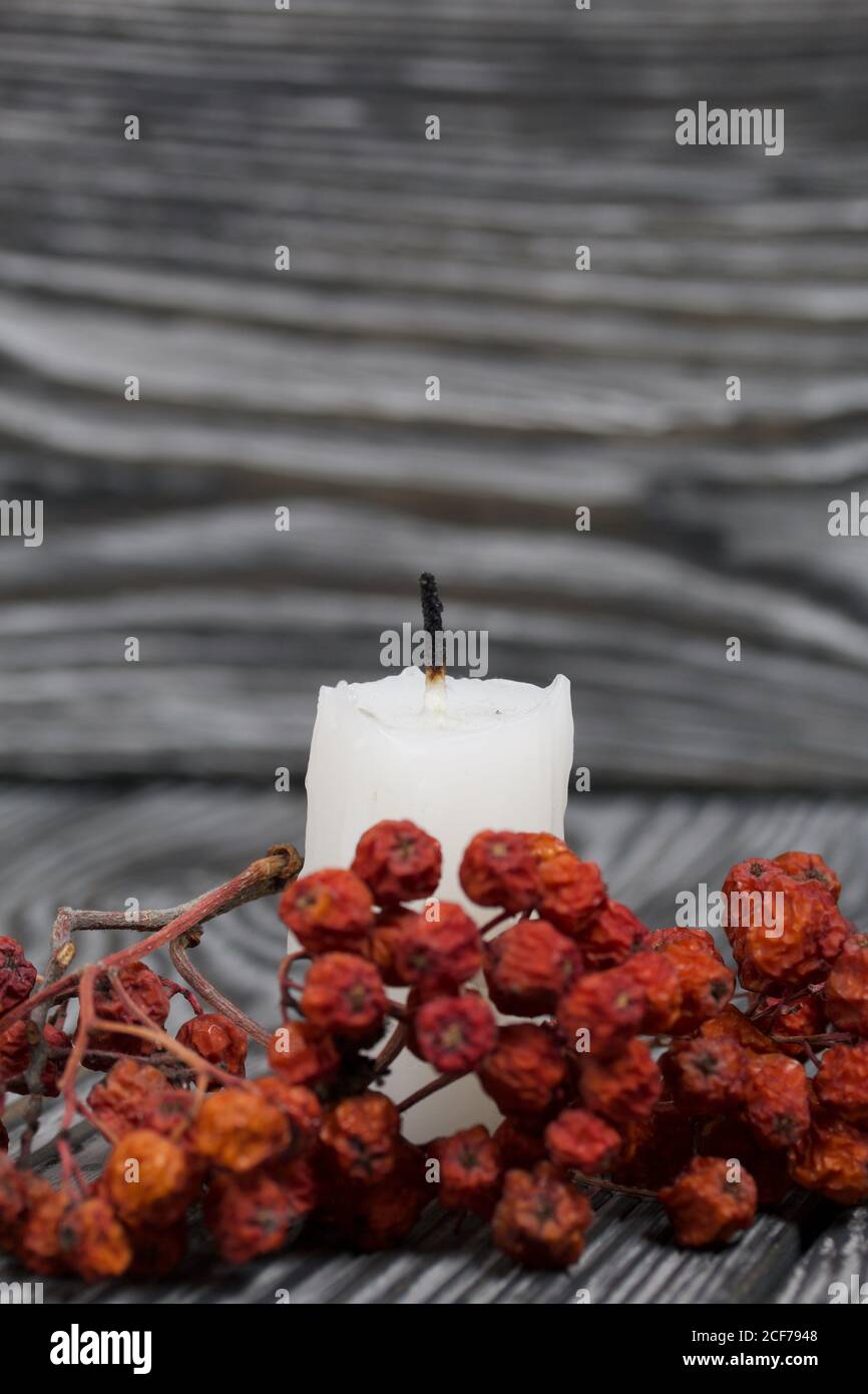 Candle stub on brushed pine boards. Nearby is a dried rowan bunch Stock  Photo - Alamy