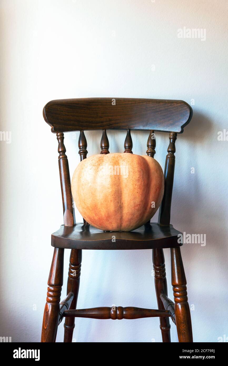Big orange pumpkin on the chair against white wall, Thanksgiving or Halloween concept. Stock Photo