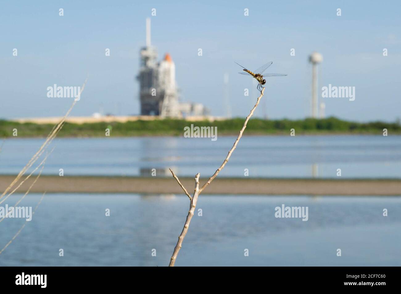 A dragonfly is seen at the edge of the lagoon near pad 39a and the space shuttle Atlantis on Wednesday, July 6, 2011 at the NASA Kennedy Space Center in Cape Canaveral, Fla.  Space shuttle Atlantis is set to liftoff Friday, July 8, on the final flight of the shuttle program, STS-135, a 12-day mission to the International Space Station.  Photo Credit: (NASA/Bill Ingalls) Stock Photo