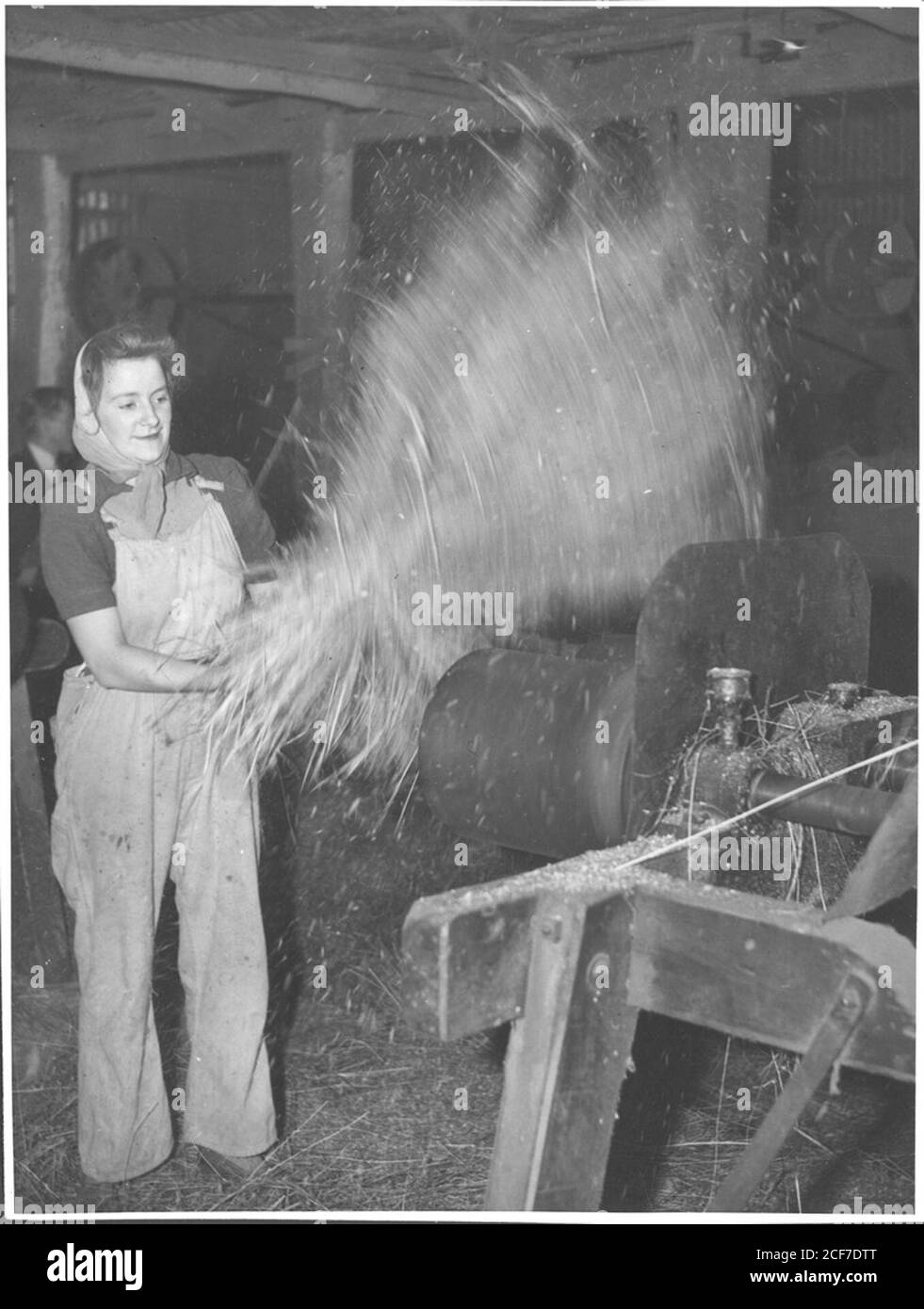 Land Army girl winnowing flax at the Drouin flax mill, Drouin, Victoria . Stock Photo
