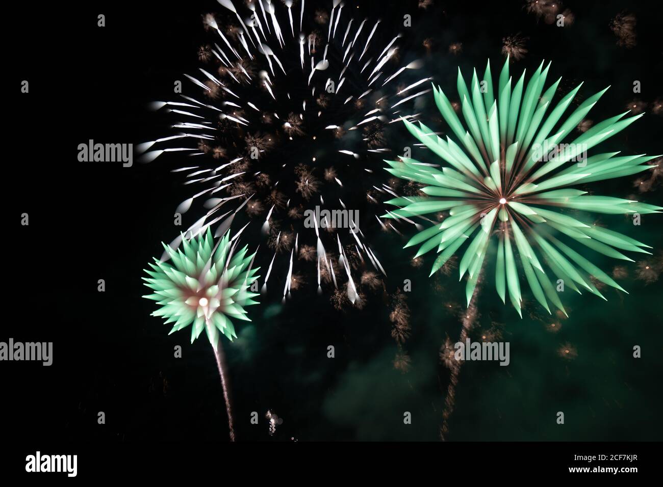Bright fireworks on night sky Stock Photo
