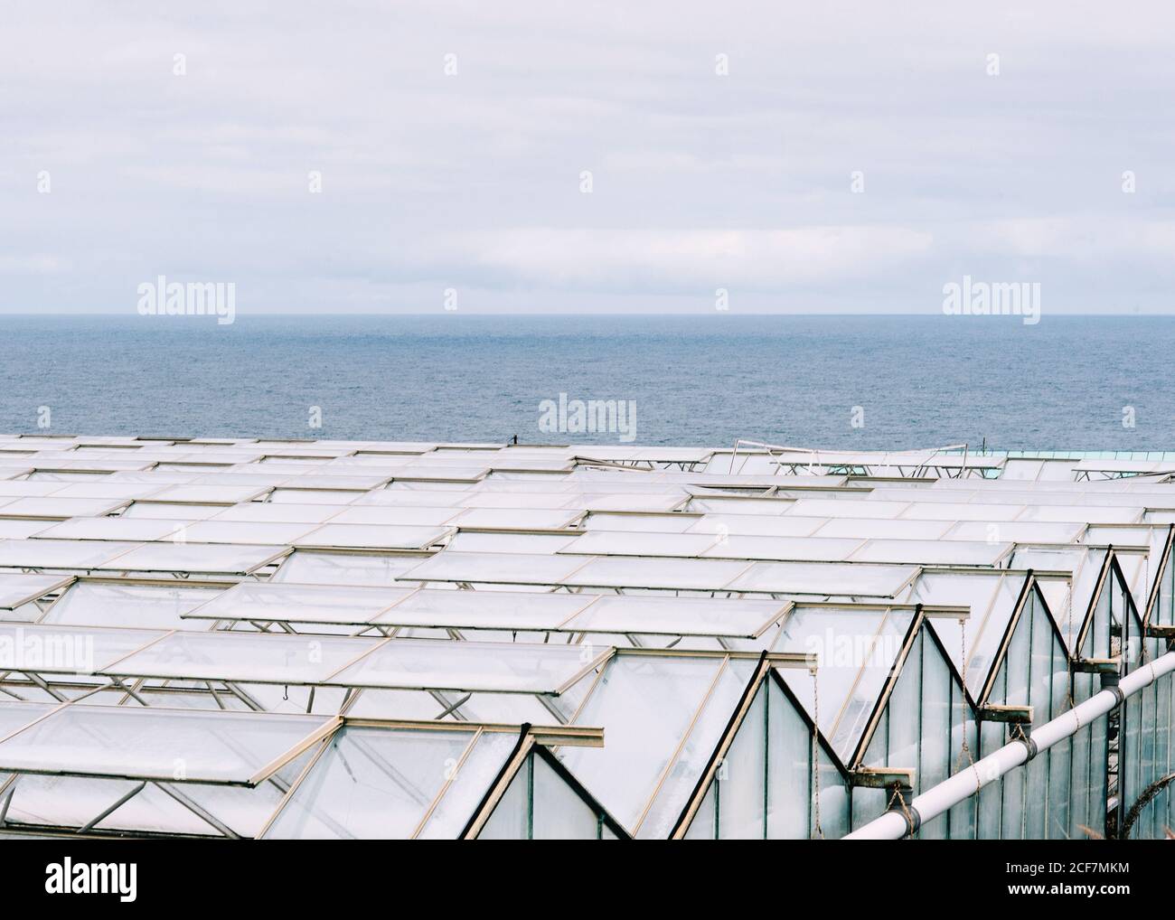 Glass greenhouse roofs in overcast weather Stock Photo Alamy