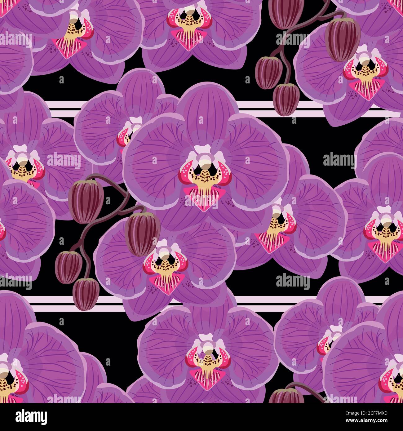White orchids black background Stock Vector Images - Alamy