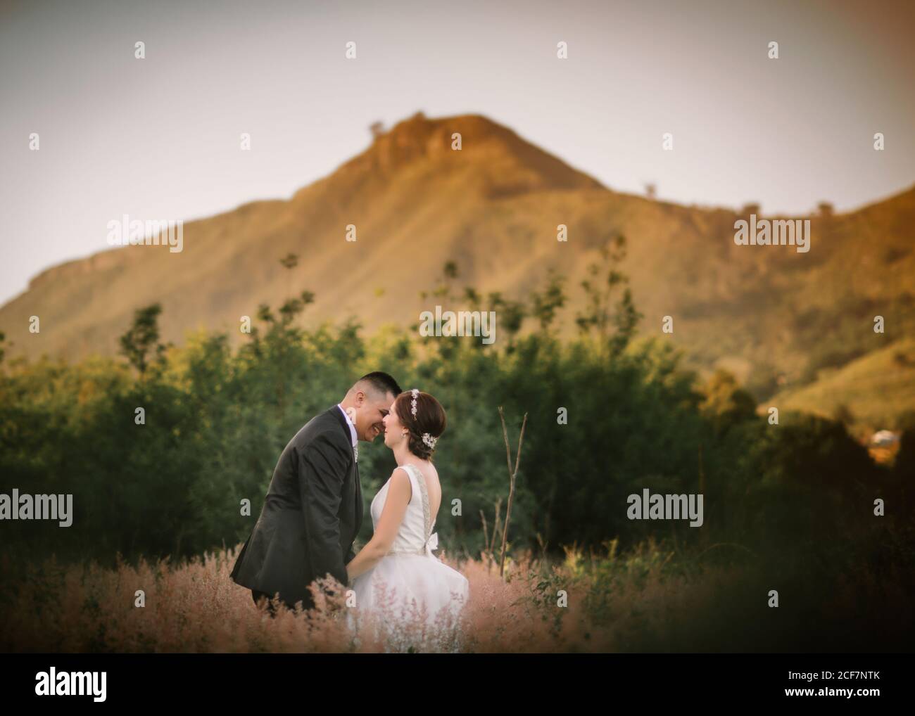 Side view tender bride groom hi-res stock photography and images - Alamy