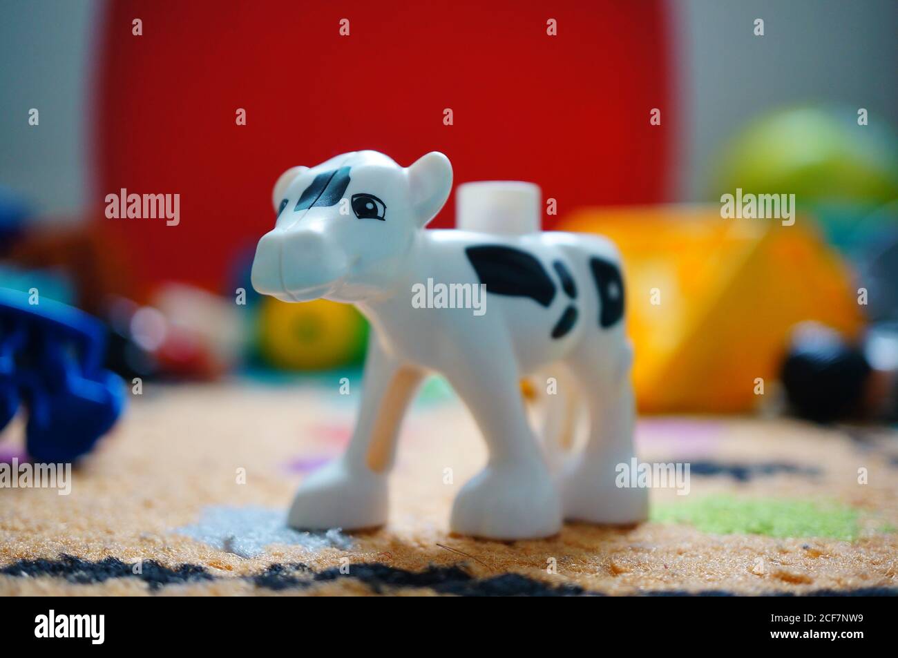 Duplo cow hi res stock photography and images Alamy