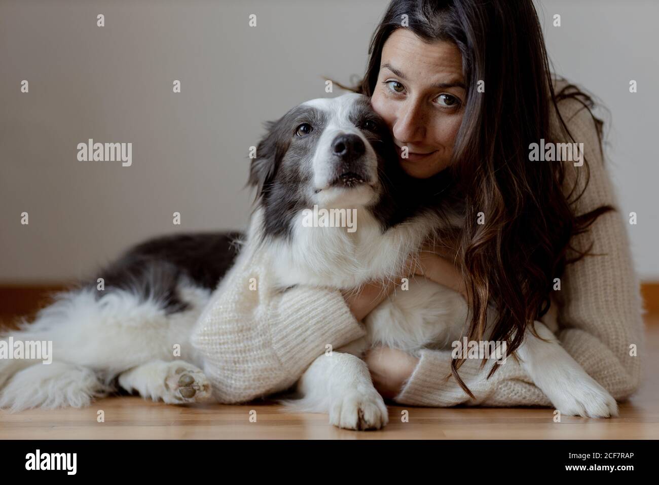 border collie sweater