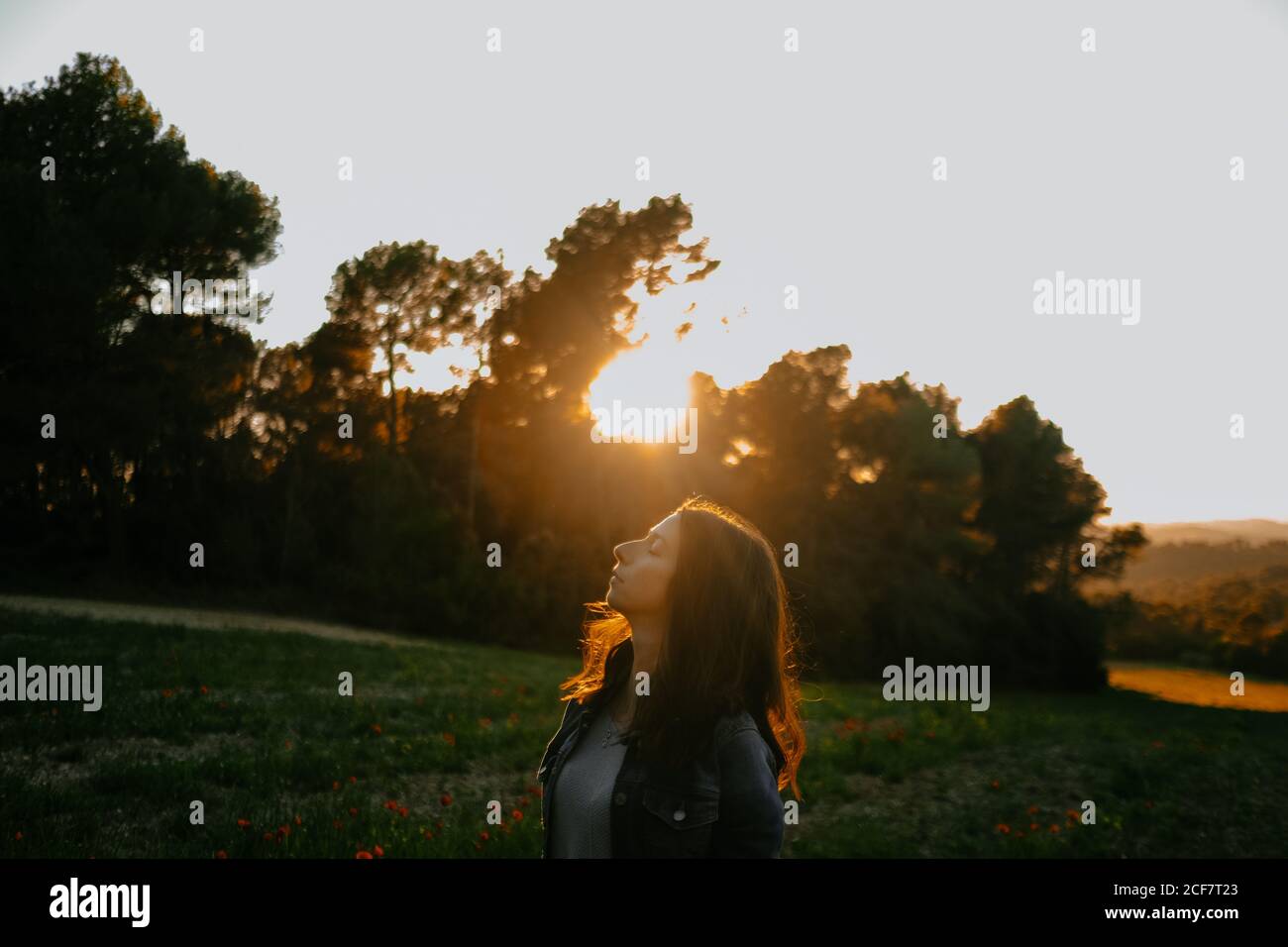 Side view of relaxed young female in black jacket enjoying nature and freedom while walking on beautiful meadow on sunset behind trees Stock Photo