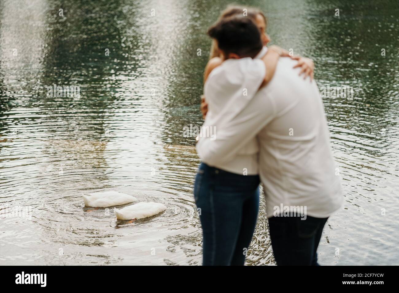 Hugging swan hi-res stock photography and images - Alamy