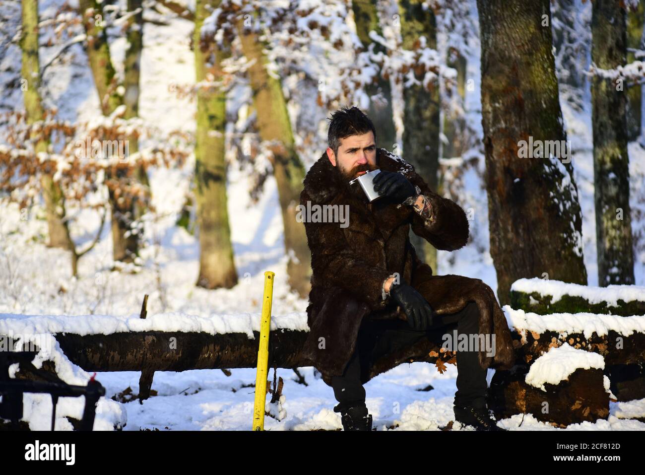 Man in fur coat drinks from metal flask. Macho with beard and mustache sits by yellow axe in forest. lumberjack concept. lumberjack man working in the winter forest. Frozen wanderer concept. Stock Photo