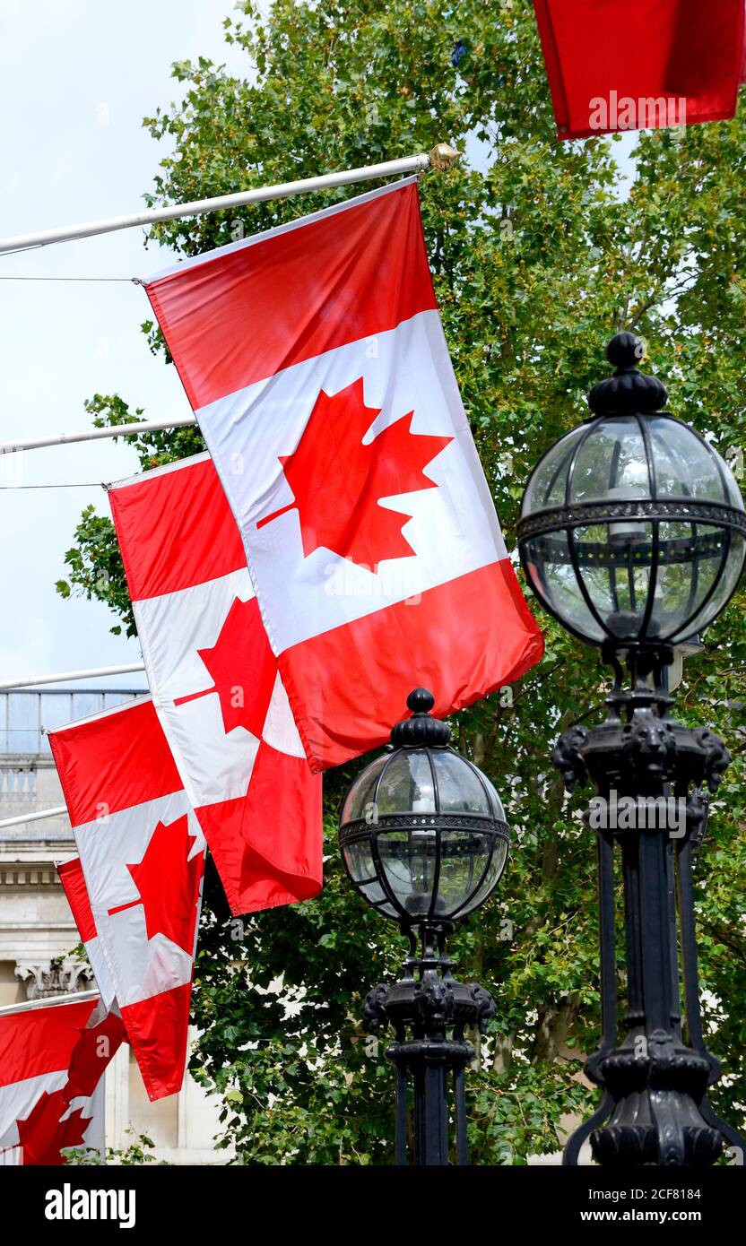 London, England, UK. Canadian Flags outside Canada House, Trafalgar