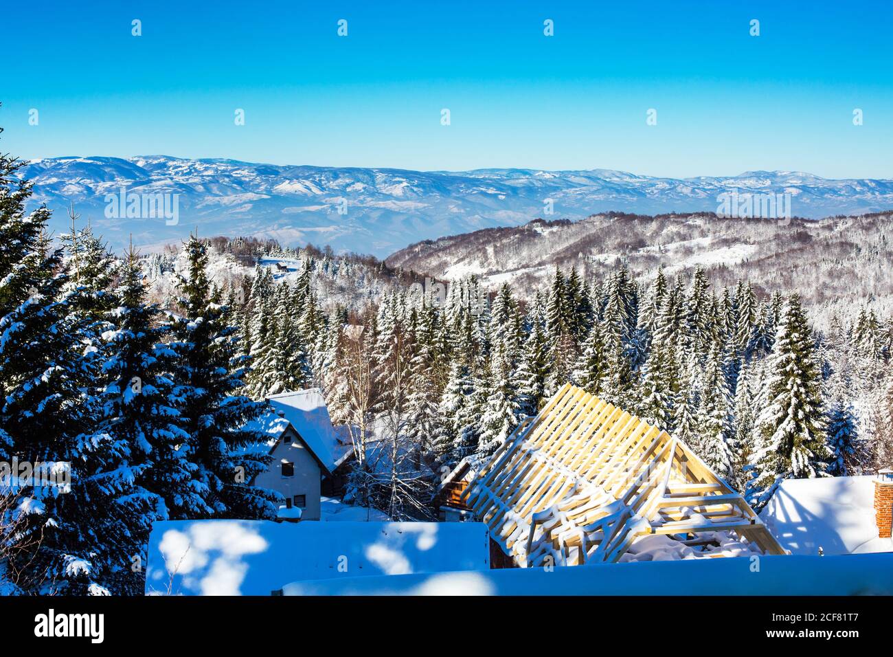 Aerial view snowy pine trees hi-res stock photography and images - Alamy