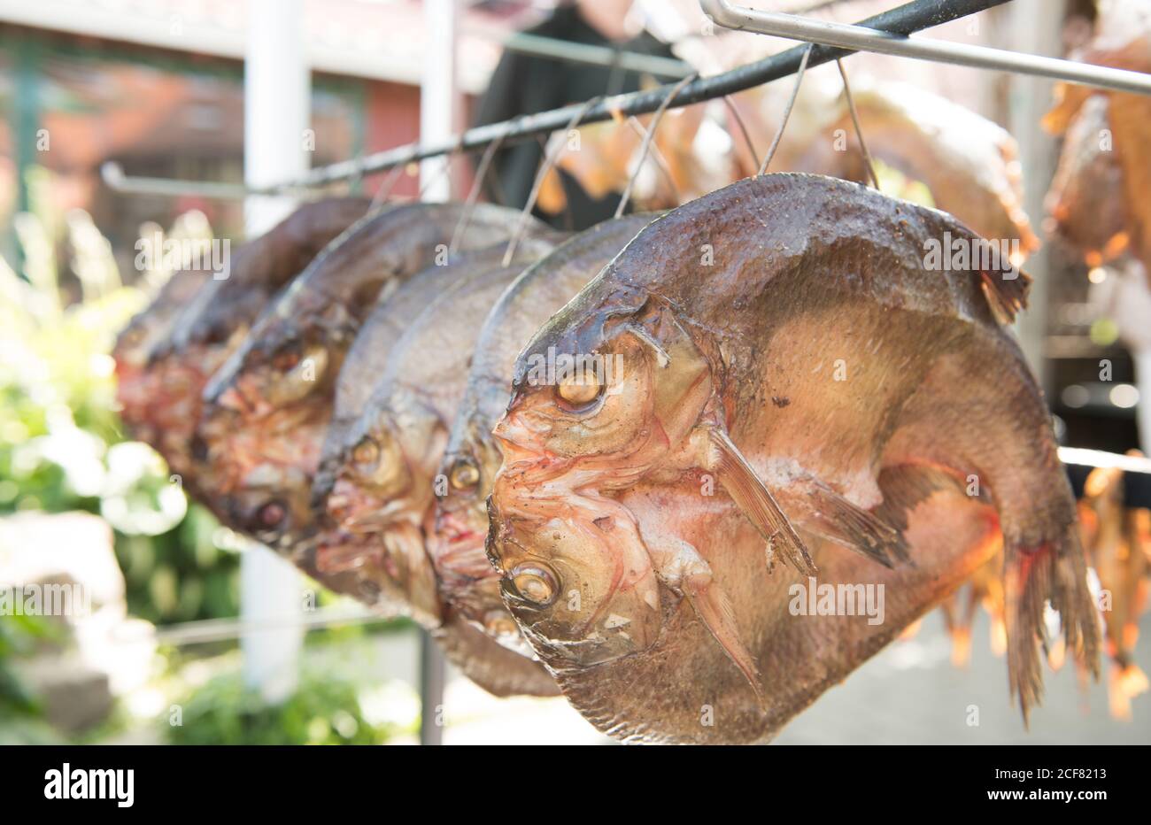 Metal rail with hanging eviscerated air dried fish at sunny local market Stock Photo Alamy
