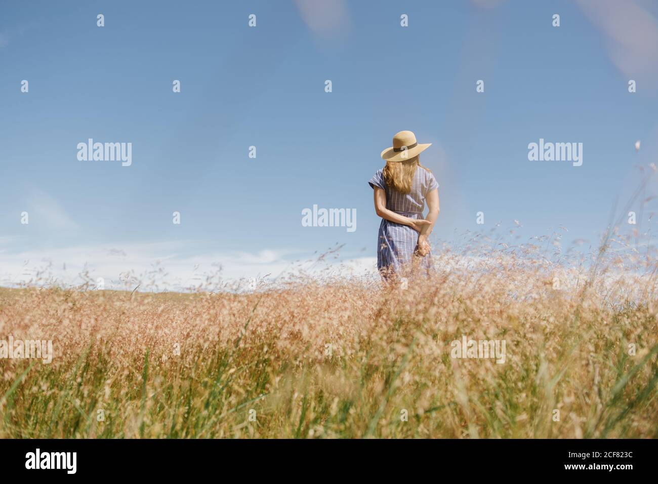 back view of adult Woman in dress with wisp of dry grass spikes while standing on scenic field, Nida Stock Photo