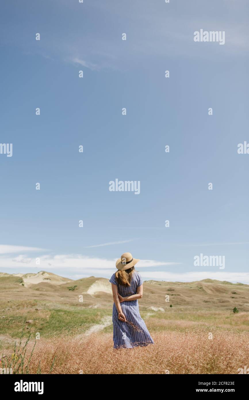 Crop back view of adult Woman in dress with wisp of dry grass spikes while standing on scenic field, Nida Stock Photo