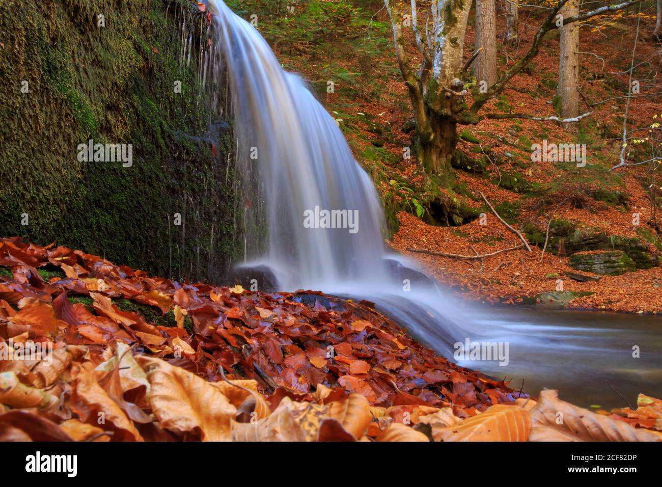 Long exposure waterfall, autumn background Stock Photo