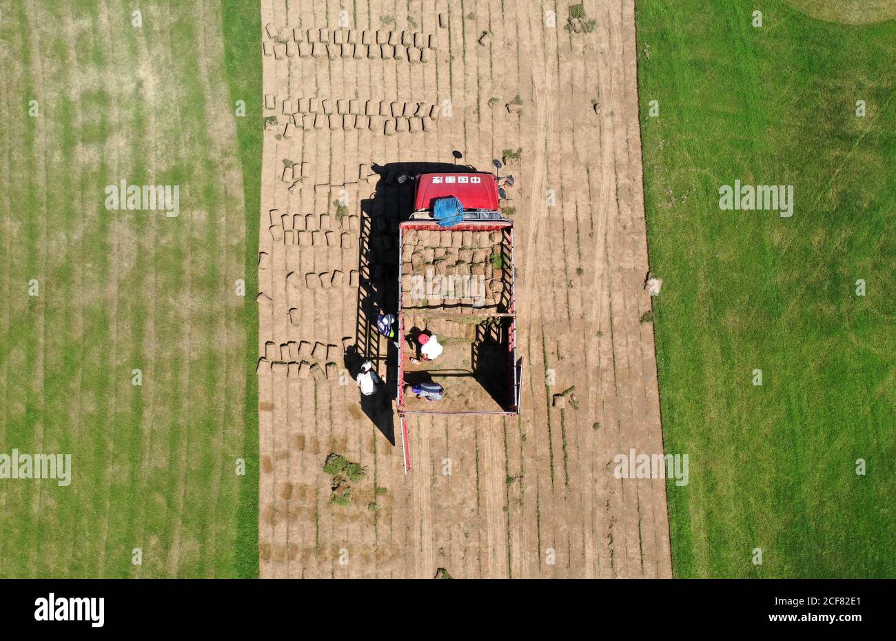 Zhengzhou. 3rd Sep, 2020. Aerial photo taken on Sept. 3, 2020 shows villagers uploading turfs in Zhangzhuang Village of Lankao County, central China's Henan Province. Zhangzhuang Village has actively developed the cultivation of Lankao honeydew melons, edible fungi, peaches, turf, etc. to promote employment through industry. Credit: Feng Dapeng/Xinhua/Alamy Live News Stock Photo