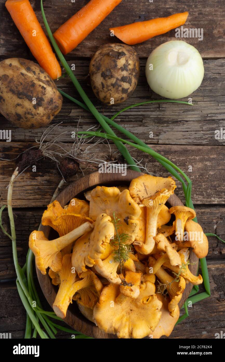 Featured image of post Steps to Make Carrot Like Mushroom