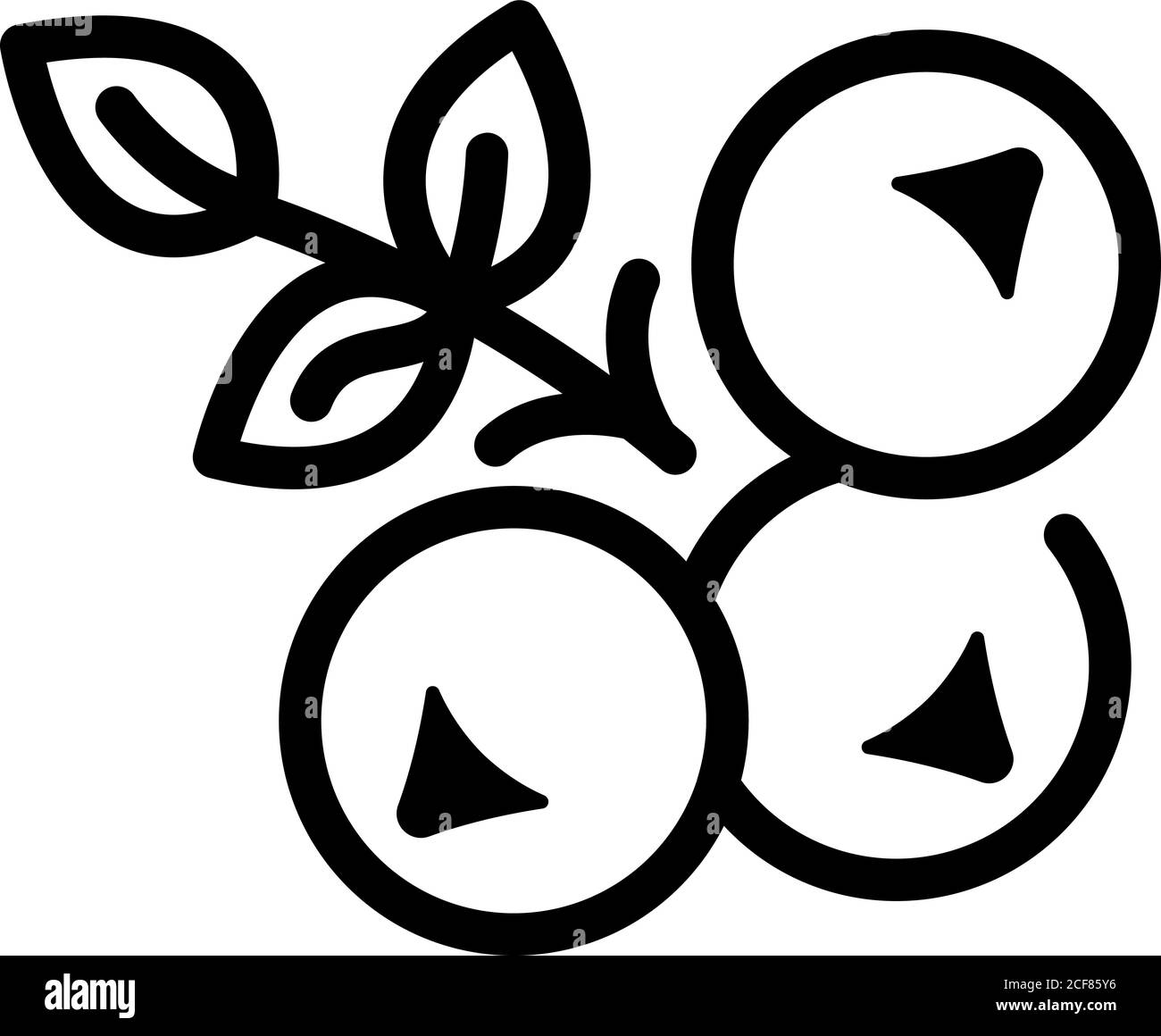 Rowan icon, outline style Stock Vector Image & Art - Alamy