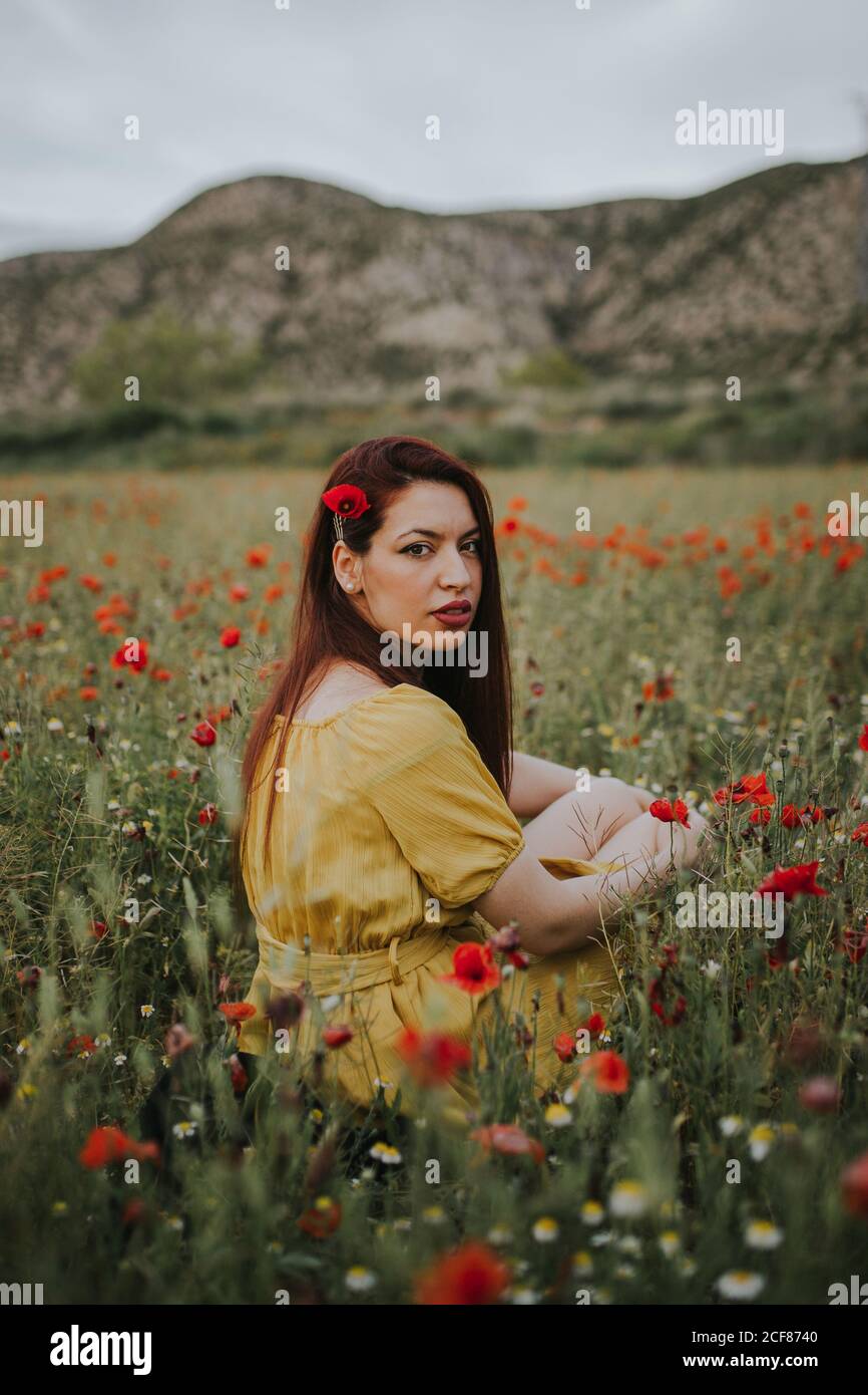 Pensive attractive red haired adult lady in yellow dress with red poppy in hair and red lips looking over shoulder at camera while sitting alone in blurred amazing green meadow with red and white flowers against hills under gray cloudy sky Stock Photo