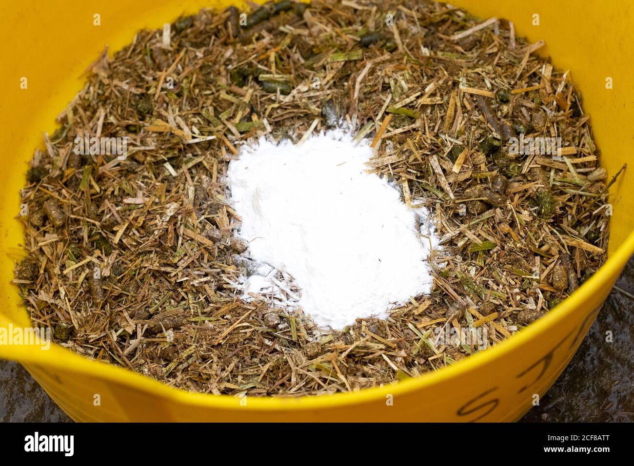 Bucket of horse feed with Trimediazine antibiotics Stock Photo