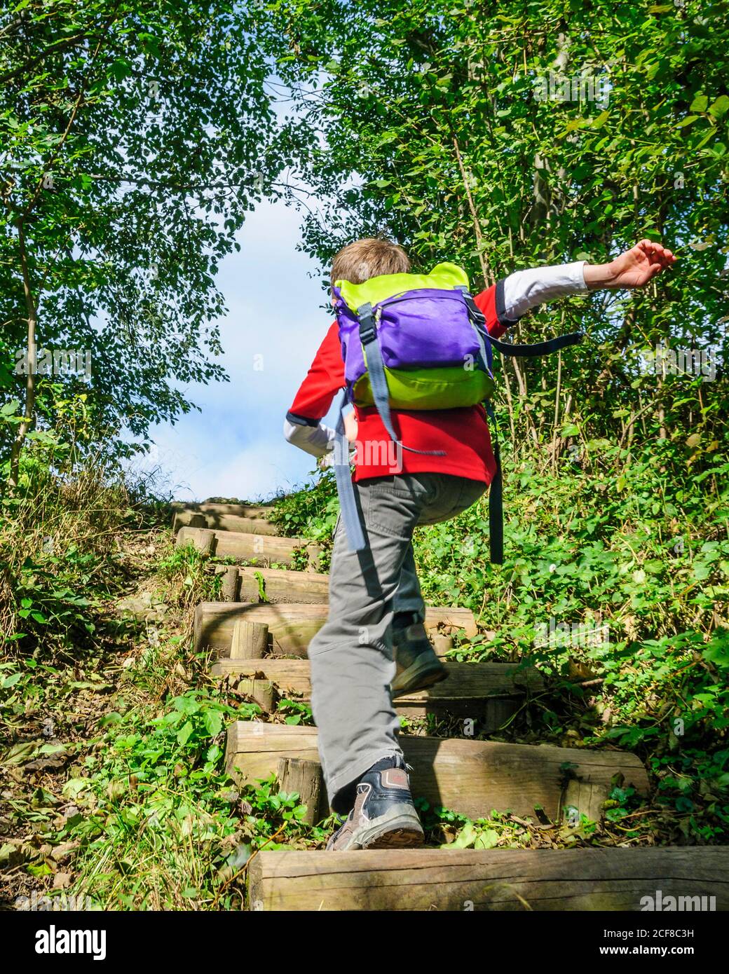 Young boy running up foot steps in a forest Stock Photo Alamy