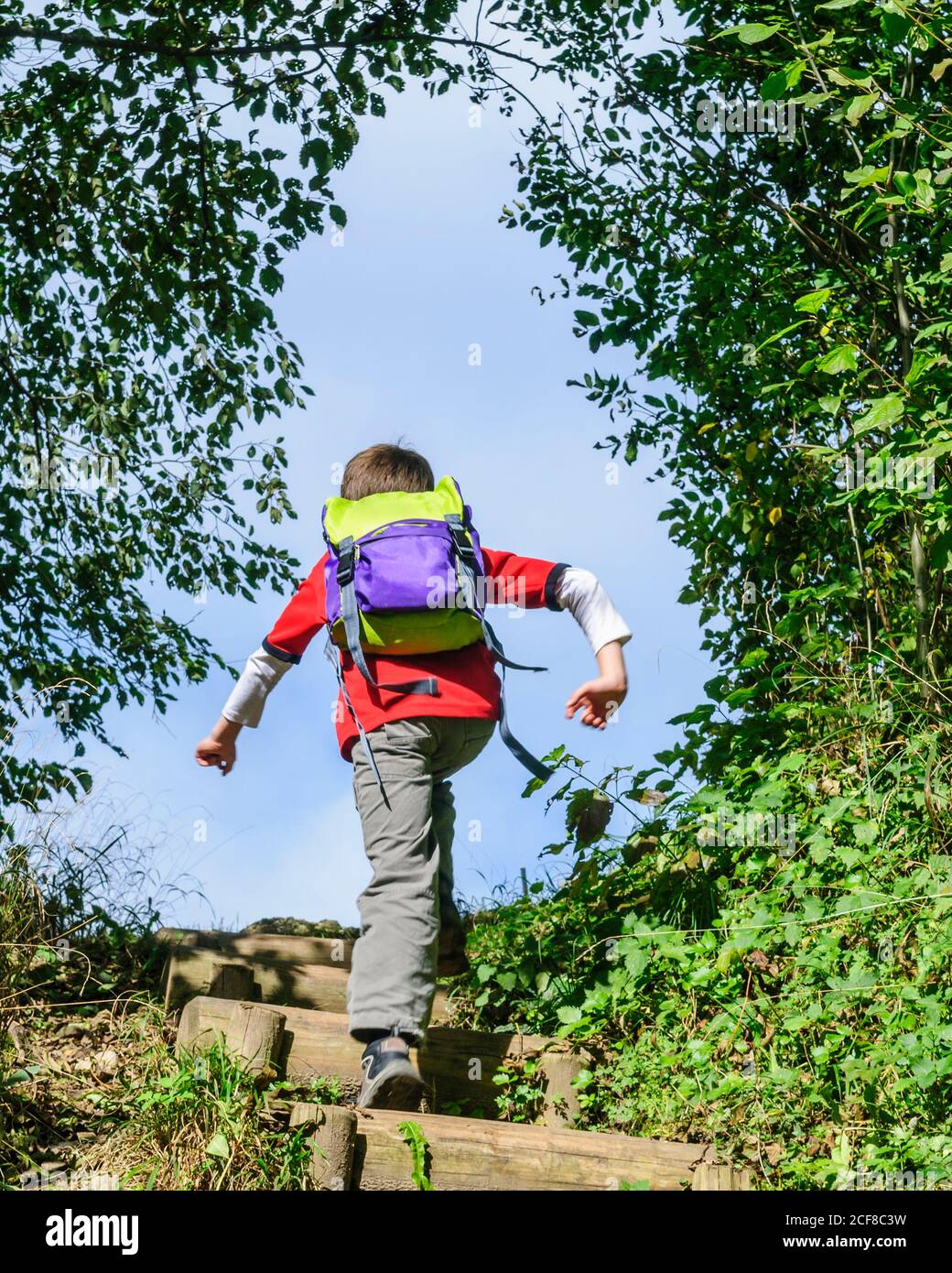 Young boy running up foot steps in a forest Stock Photo Alamy