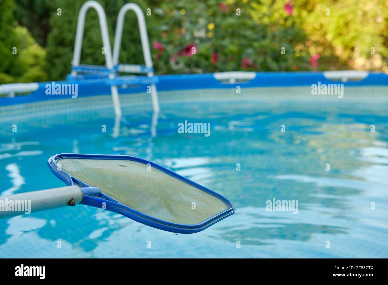 A net for the pool on the background of blue water of the frame pool. Products and accessories for pool maintenance. Stock Photo