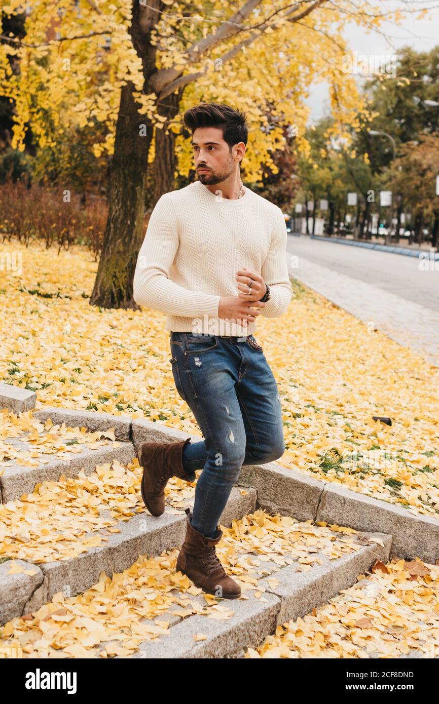 Glamorous handsome man in jeans and white sweater walking on yellow autumn  leaves in city Stock Photo - Alamy