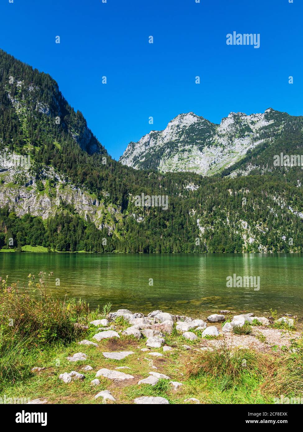 Lake Koenigssee with rocks and trees in the Berchtesgaden Alps, Germany ...