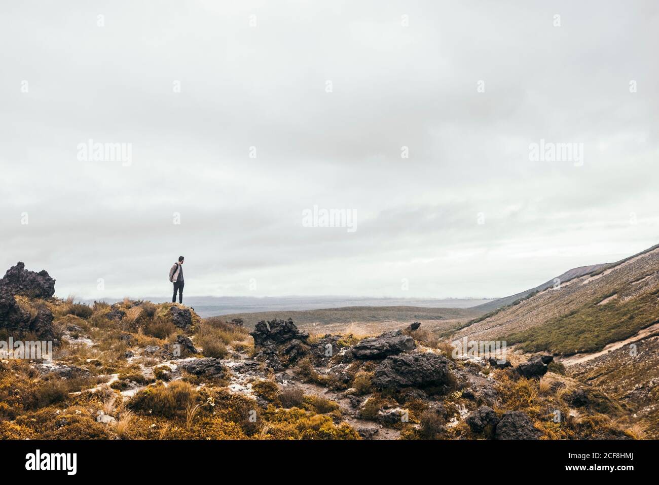 Traveler enjoying in views at rocky terrain with cloudy sky on background at New Zealand Stock Photo