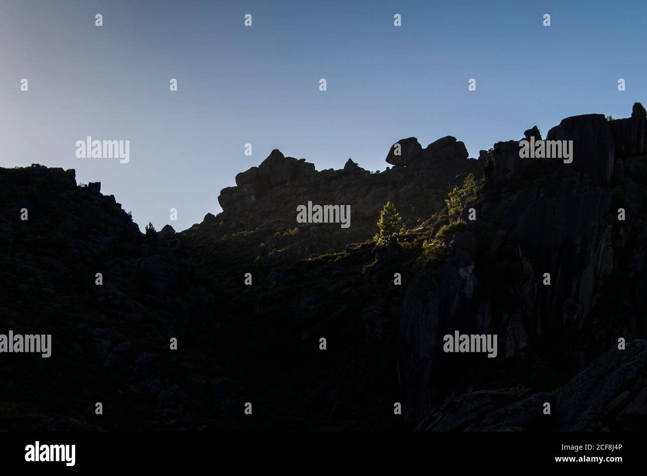 A rocky cliff backlit in the shadow, with a pine tree and vegetation ...