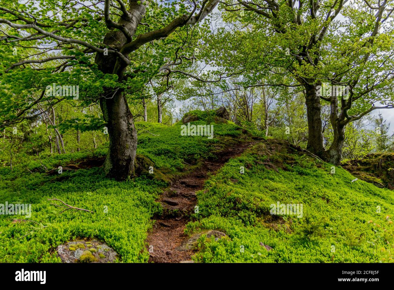 Discovery tour at the edge of the Thuringian Forest - Thuringia/Germany Stock Photo