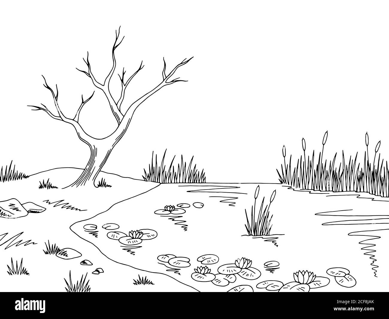 Bog swamp graphic black white landscape sketch illustration vector Stock Vector