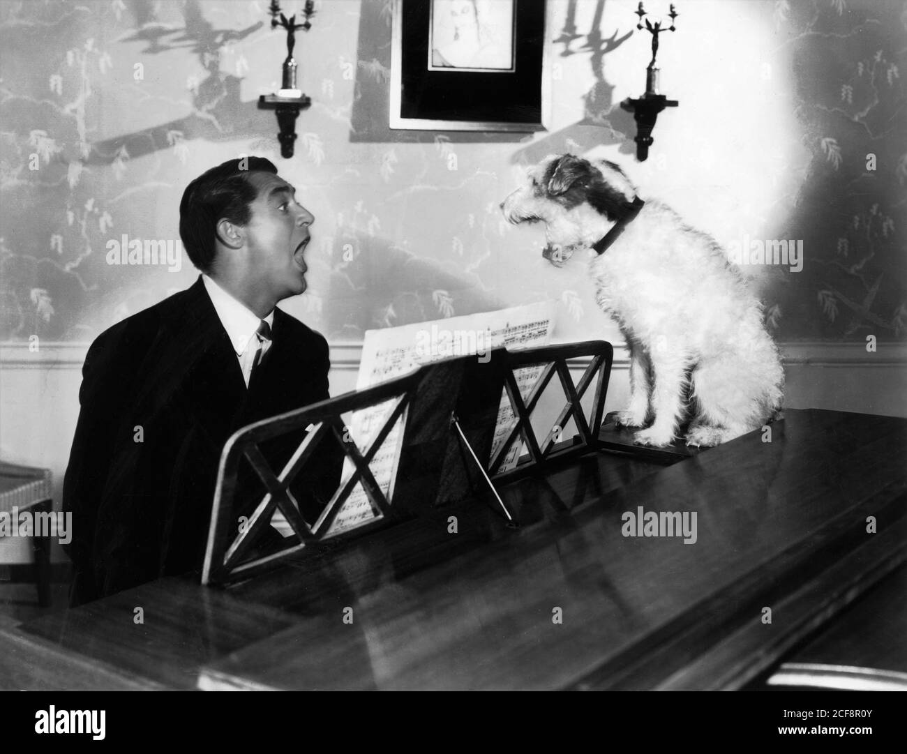 CARY GRANT and wire haired terrier dog SKIPPY as ASTA as Mr. Smith in THE AWFUL TRUTH 1937 director LEO McCAREY based on play by Arthur Richman screenplay Vina Delmar Columbia Pictures Stock Photo