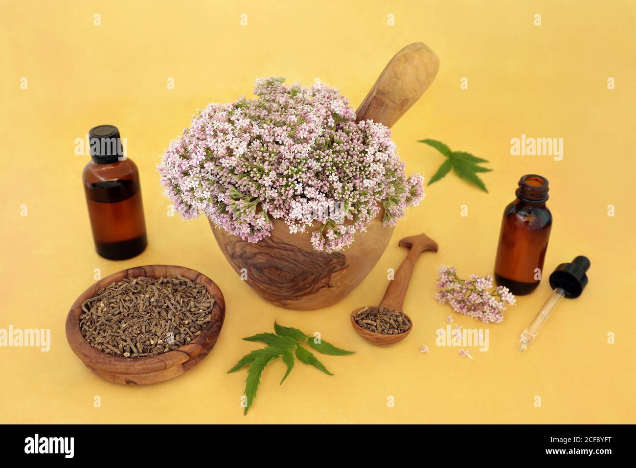 Valerian herb hires stock photography and images Alamy