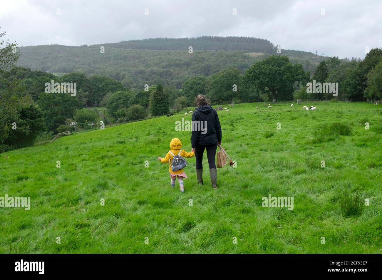 Rear back view of mother and child walking in countryside rainy day staycation during covid 19 pandemic Carmarthenshire Wales UK Britain  KATHY DEWITT Stock Photo