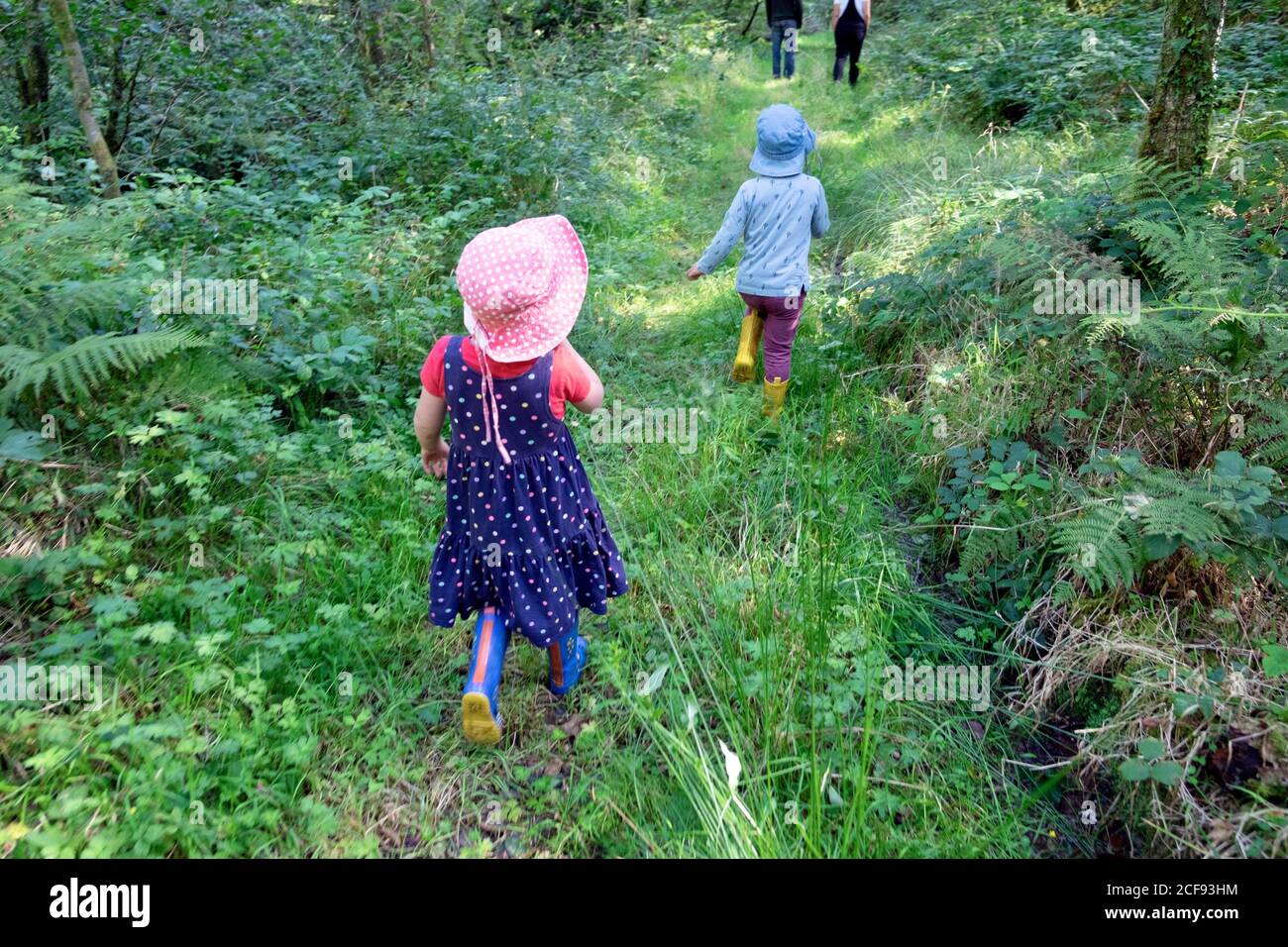 Children kids back rear view walking on a grassy path with adults through an overgrown woodland on holiday in summer Wales UK KATHY DEWITT Stock Photo