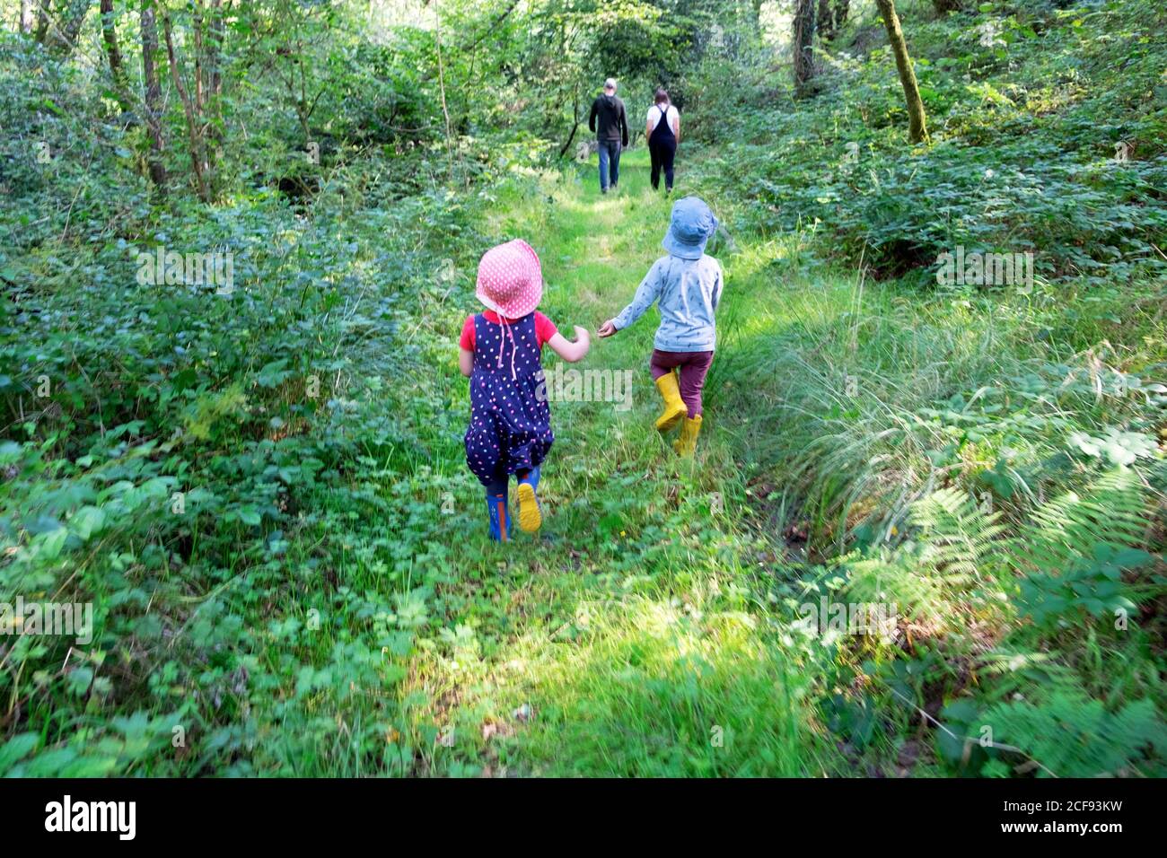 Children kids back rear view walking on grassy path with adults through overgrown woodland on summer holiday in Carmarthenshire Wales UK KATHY DEWITT Stock Photo